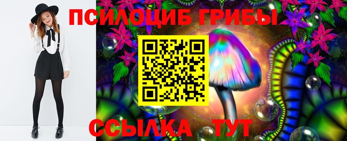 Псилоцибиновые грибы MAGIC MUSHROOMS  Вход с VPN  Чернушка  Псилоцибиновые грибы ЛСД 